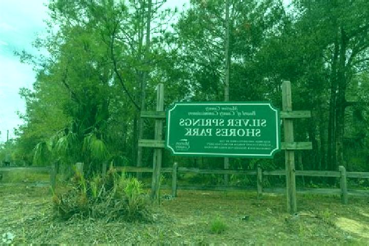 escort Silver Springs Shores