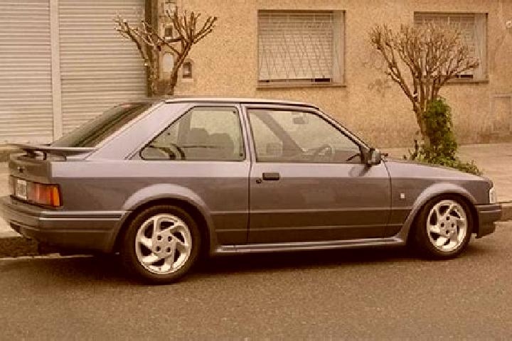 escort Sinaai