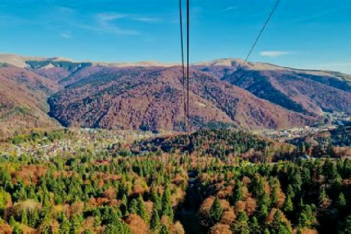 escort Sinaia