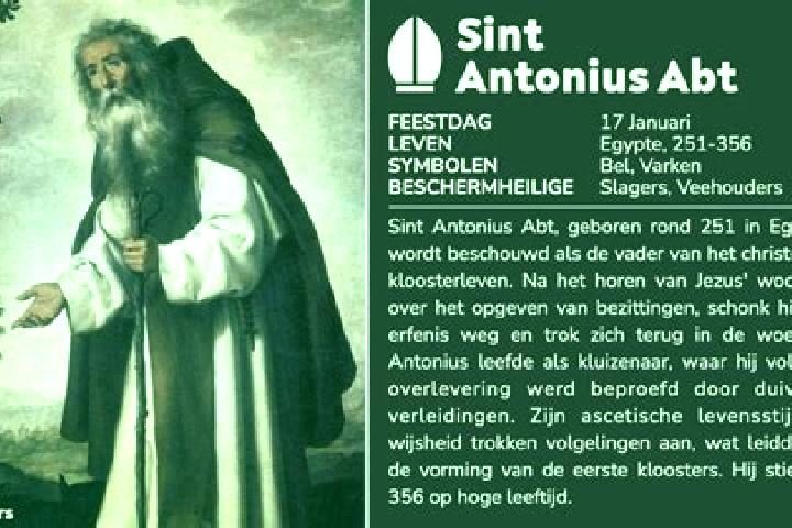 escort Sint-Antonius