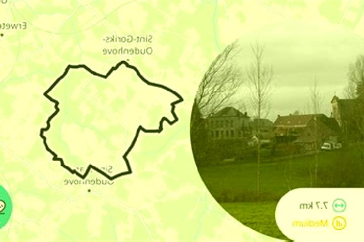 escort Sint-Goriks-Oudenhove