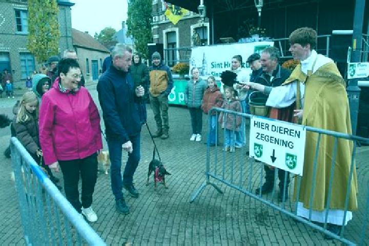 escort Sint-Huibrechts-Lille