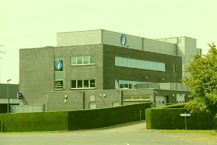 escort Sint-Lievens-Houtem