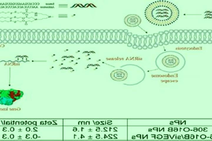 escort Sirna