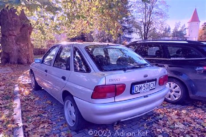 escort Skanovo