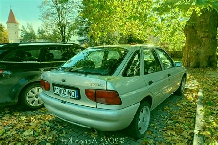 escort Skive