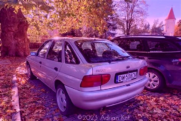 escort Skorykivka