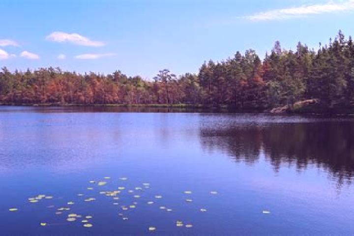 escort Sky Lake