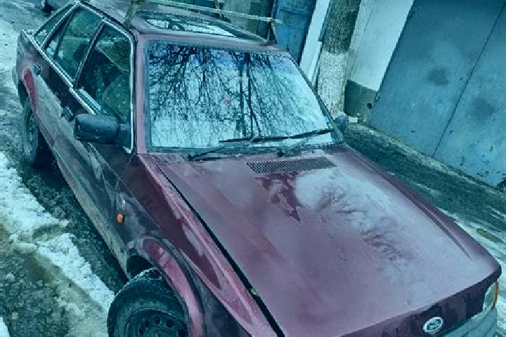 escort Slanic-Moldova