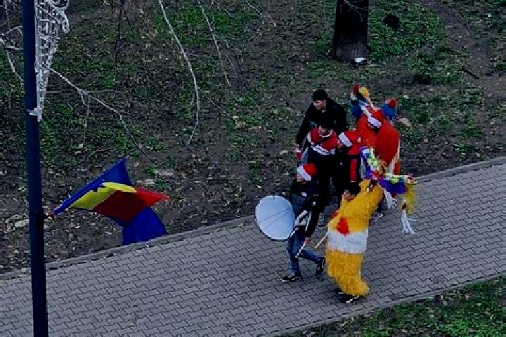 escort Slobozia Bradului