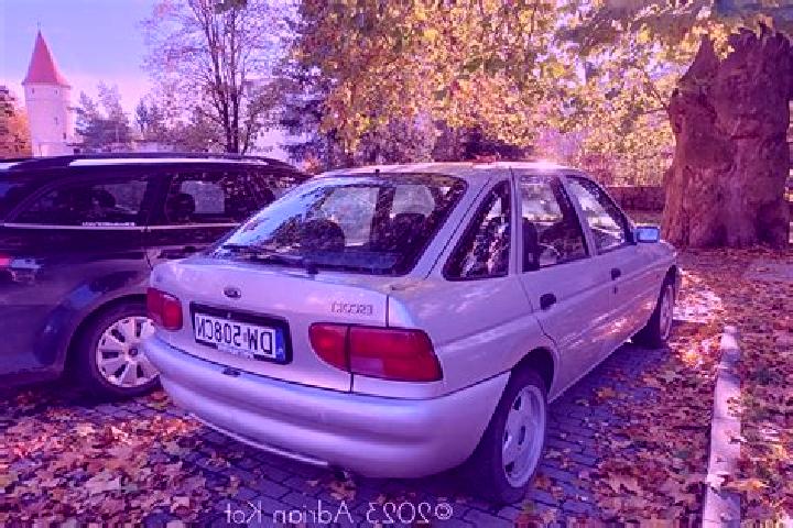 escort Sloten
