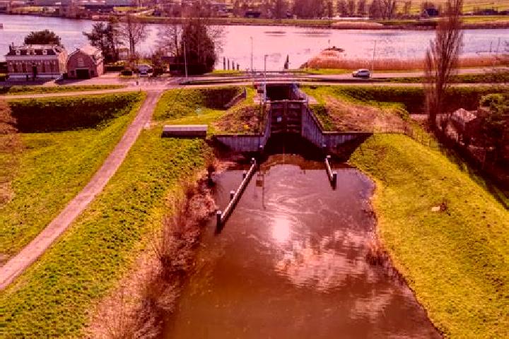 escort Sluis