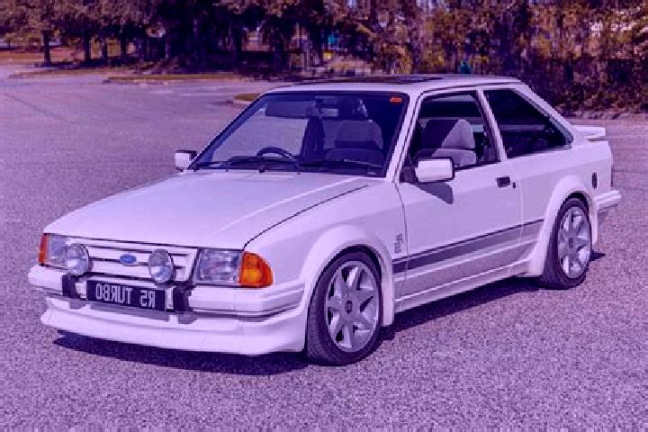 escort Sluisoord