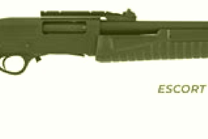 escort Slup