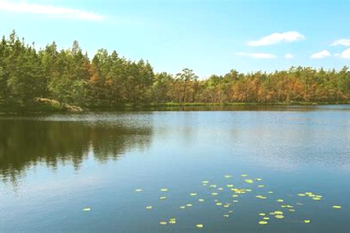 escort Smiths Lake