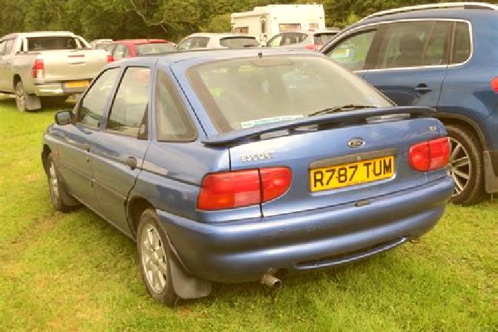 escort Snitterfield