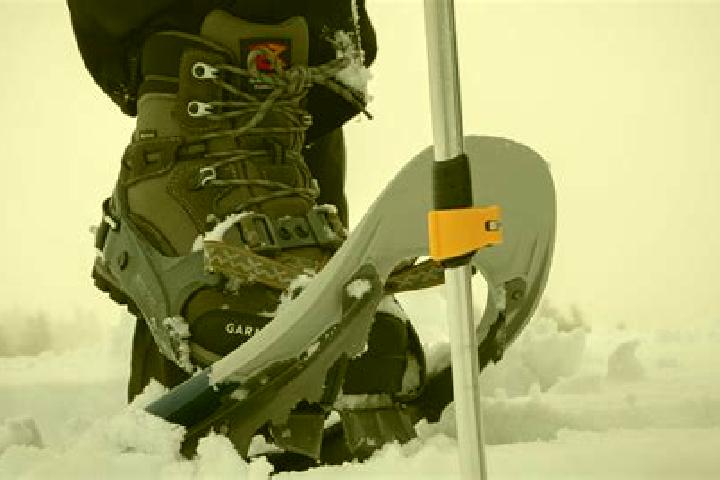 escort Snow Shoe