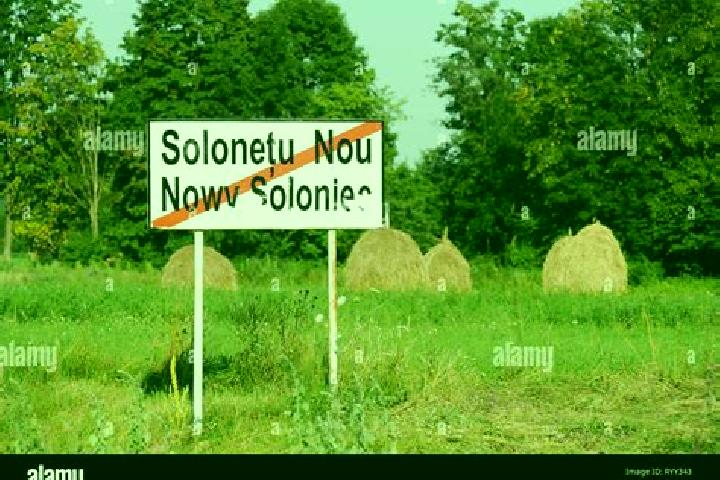 escort Solonetu Nou