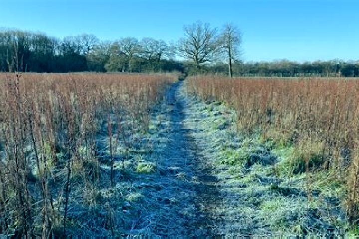 escort Sonning Common