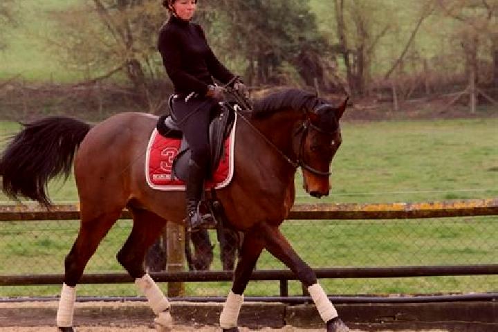 escort Sorel-Moussel