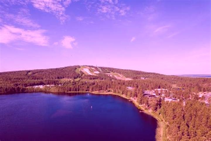 escort Sotkamo