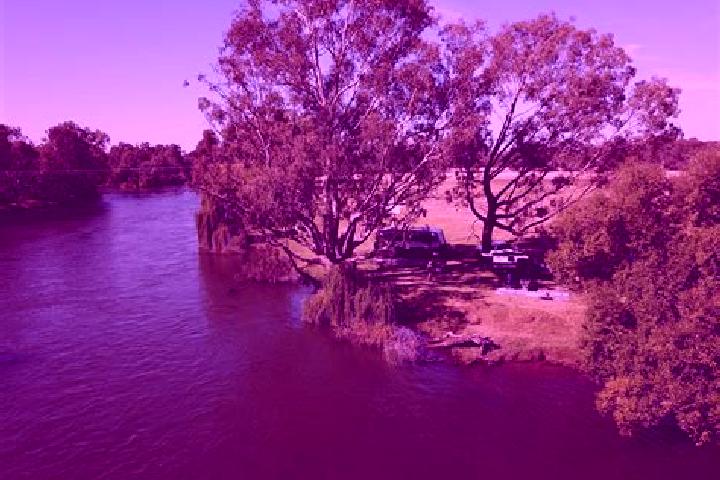 escort South Albury