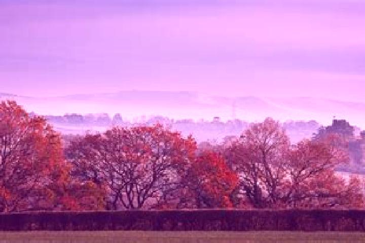 escort South Ashburnham