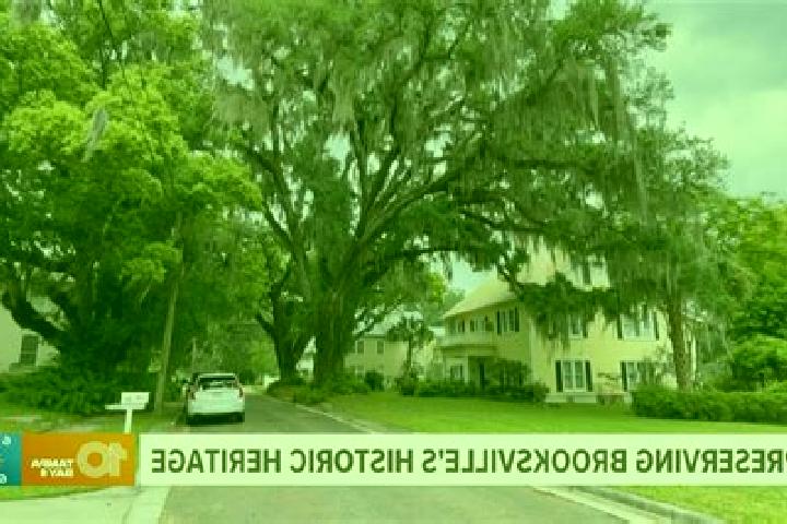 escort South Brooksville