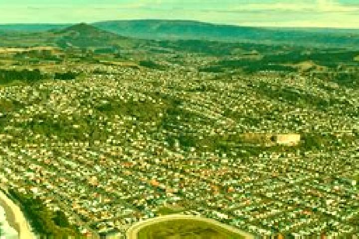 escort South Dunedin