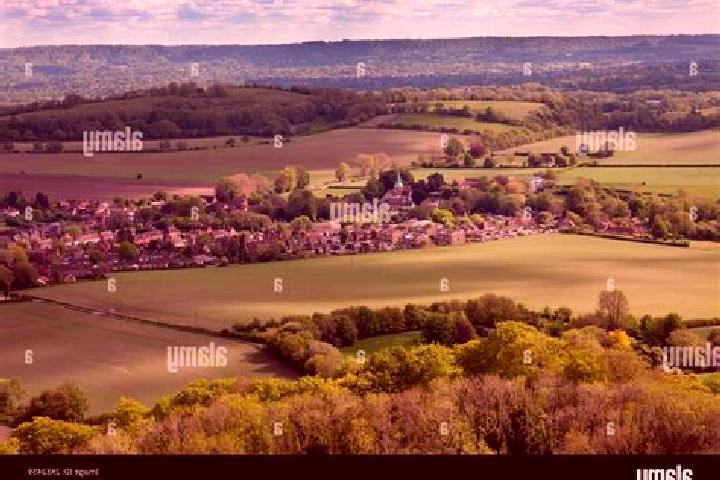escort South Harting