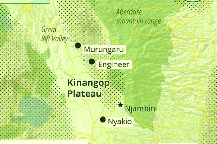 escort South Kinangop