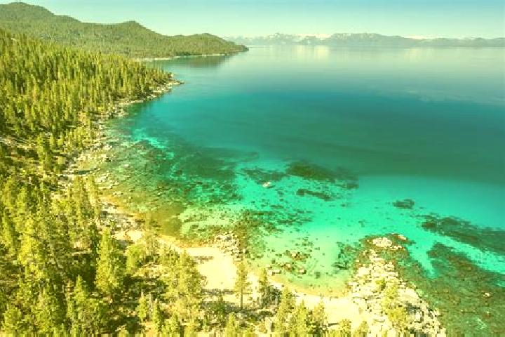 escort South Lake Tahoe