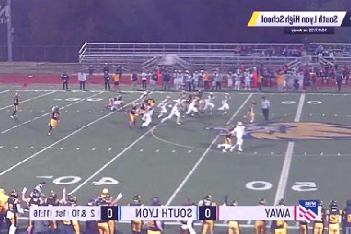 escort South Lyon