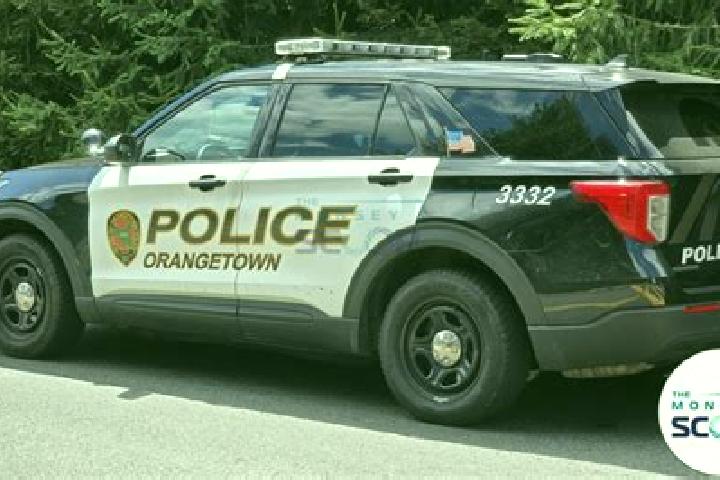 escort South Nyack