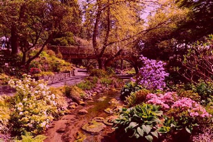 escort South Portland Gardens