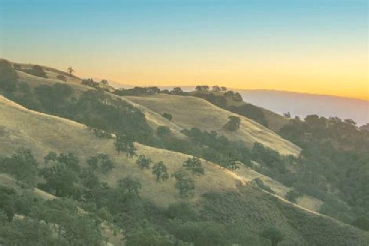 escort South San Jose Hills