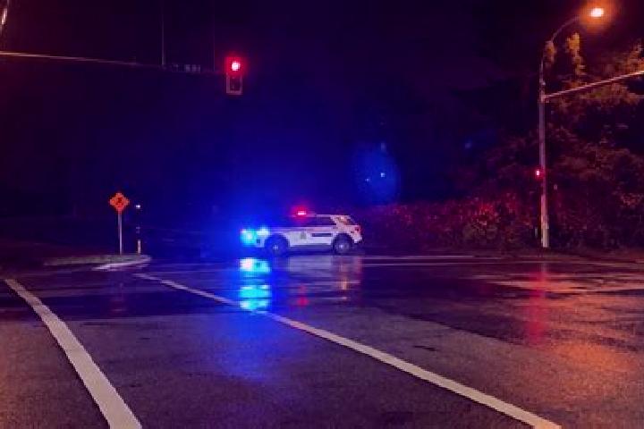 escort South Surrey