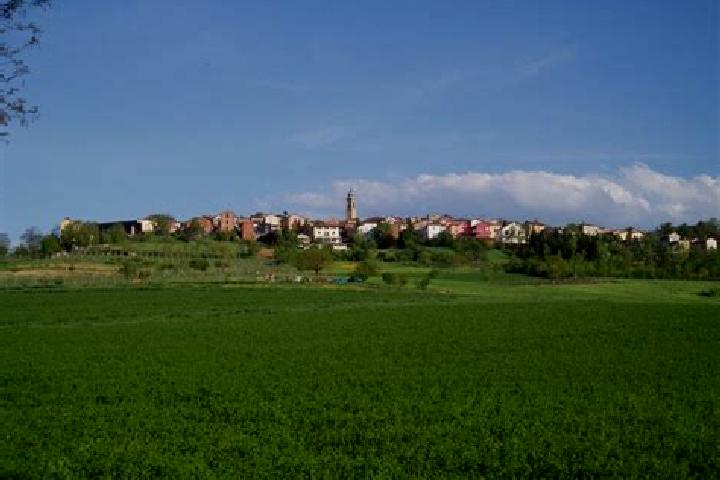 escort Spineto Scrivia