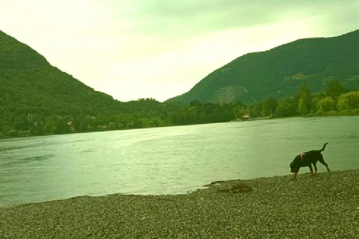 escort Spinone al Lago