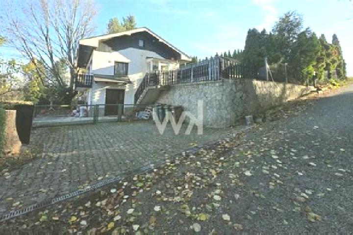 escort Spodnja Volicina