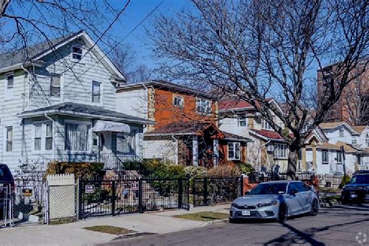 escort Springfield Gardens