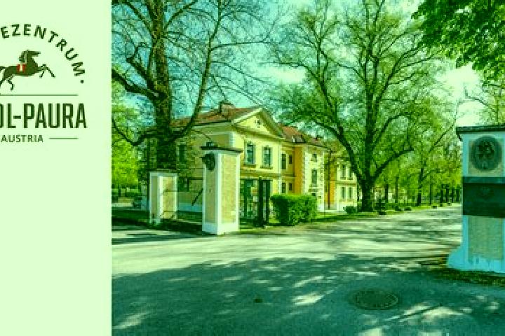 escort Stadl-Paura