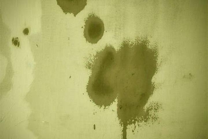 escort Stains