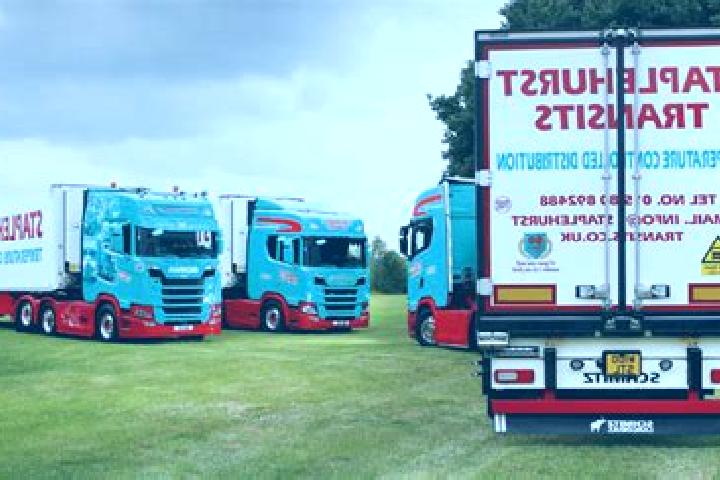 escort Staplehurst