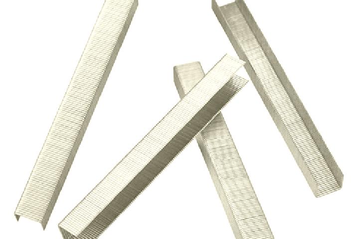 escort Staples