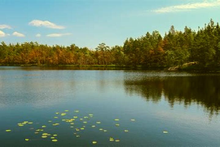 escort Star Lake