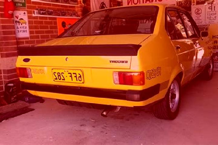 escort Startup