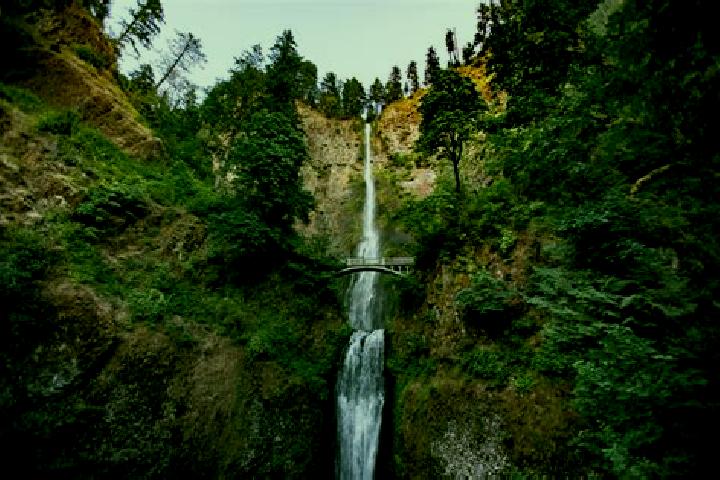 escort Steep Falls