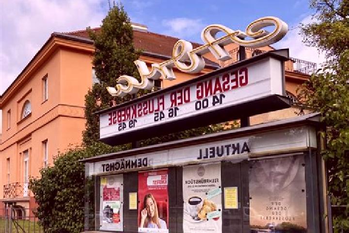 escort Steglitz Bezirk