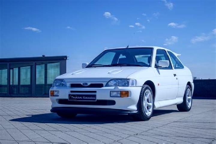escort Steinfort